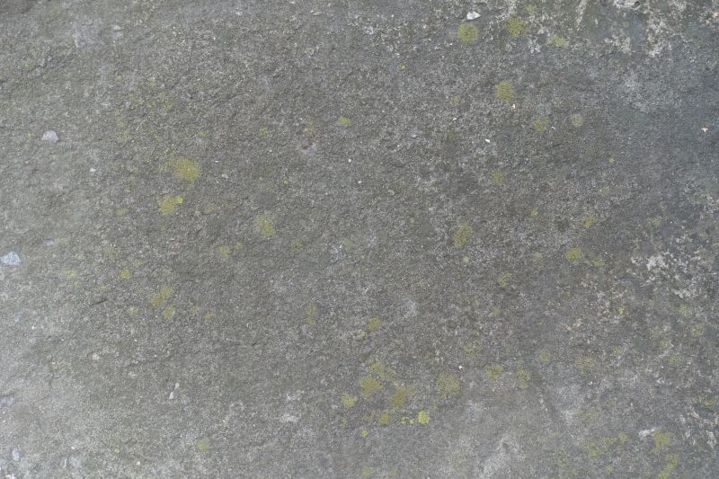 Interior Concrete Staining in Corpus Christi, TX
